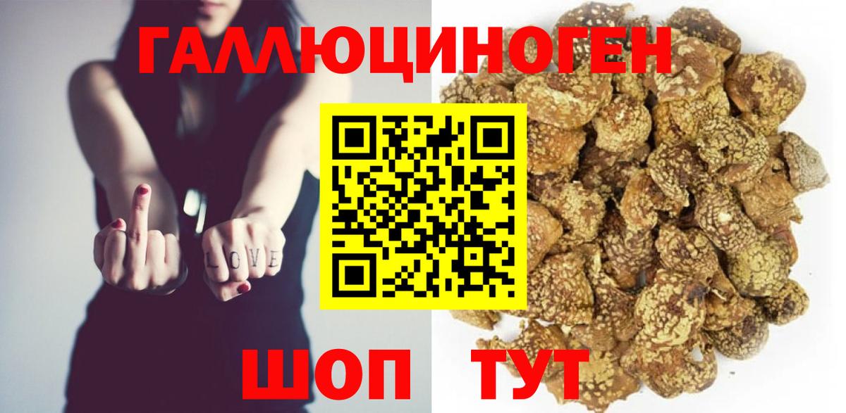 Подольск  Псилоцибиновые грибы Cubensis  Вход с VPN 